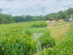 -桤木河湿地公园