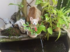 -茶米人台湾料理·精致快简餐