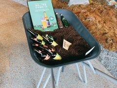 -Seesaw Coffee(朝阳大悦城店)