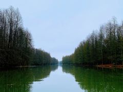 -上海海湾国家森林公园
