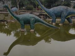 -自贡恐龙博物馆