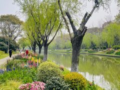 -上海鲜花港