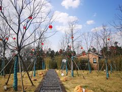 -冶父山国家森林公园