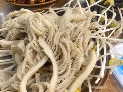 -华丰火锅(双林北横路店)