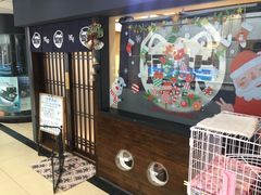 -逗柴咖啡屋·狗咖猫咖宠物桌游