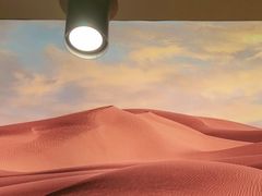 -楼兰新疆菜(江宁万达店)