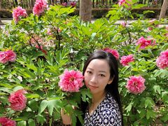 -洛阳市隋唐城遗址植物园