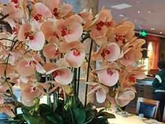 -八府香鸭·啫啫煲(华山路店)