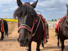 -扁都口生态休闲旅游区