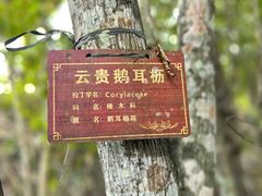 -牛角寨瀑布景区
