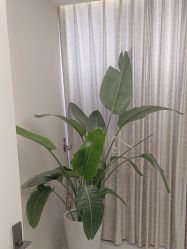 -美呈轻医美·无创抗衰中心