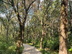 -昆山城市生态森林公园