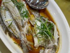 -益利大酒楼(井岸店)