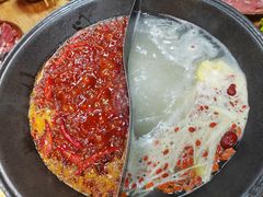 -阳阳老火锅(小南门店)