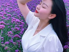 -紫颐香薰山谷景区