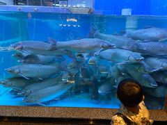中山脆肉皖-淘米捞·米汤脆鲩鱼火锅(福田皇岗店)
