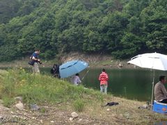 -宁波五龙潭景区