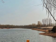 -东郊湿地公园