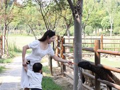 -南京市无想山景区