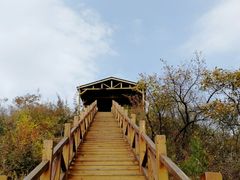 -大岭沟猕猴桃谷风景区