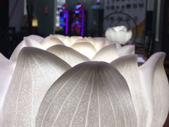 -和府捞面(东直门银座店)