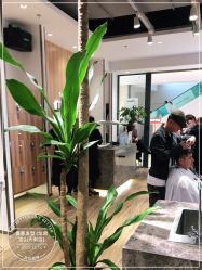 -Mentor Hair Salon
