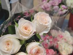 -循礼门鲜花花市(武汉循礼门店)