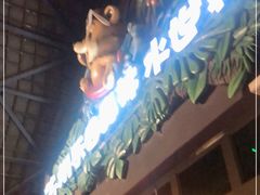 -苏州乐园森林水世界