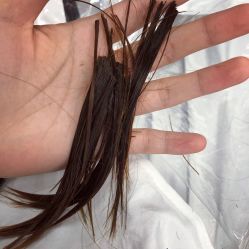 -时尚工厂·科学染发