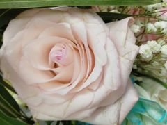 -L.C FLORA花予你(城西银泰城店)