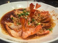 -新白鹿餐厅(百联中环店)