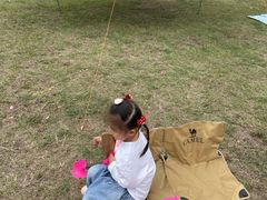 -艾溪湖湿地公园