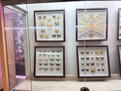 -陕西自然博物馆