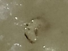 -清真磊磊烧烤老店(饮虎池街34号店)