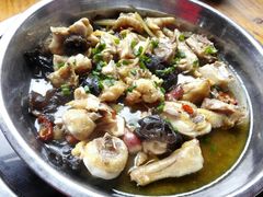 -石岐乳鸽村(桥观坊南四巷店)