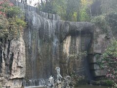 -西双版纳原始森林公园