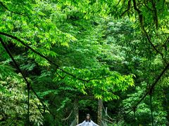 -西岭雪山大飞水景区