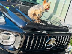 -上海星瀚奔驰4S店(红柳路店)