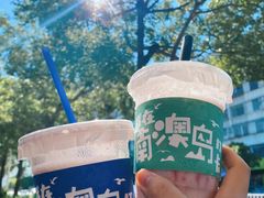-南澳岛打卡果汁冰公司
