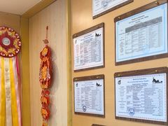 -猫十亿·布偶金渐层·曼基康矮脚猫舍(青年路店)