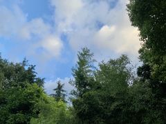 -象源丽都