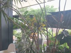 -gaga(深圳南山益田假日广场店)