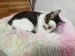 -宠颐生宠物医院·犬猫全科·皮肤科(商业街店)