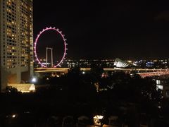 -新加坡文华东方酒店