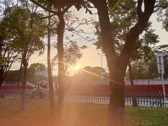 -深圳湾公园(南山区)