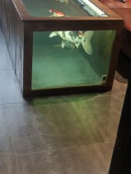 -鳌首刺青纹身 穿孔饰品店