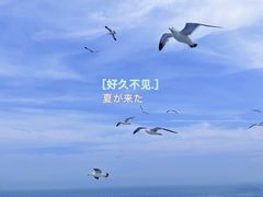 -长岛南北长山旅游景区