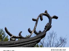 -留园