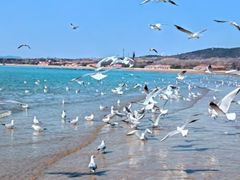 -老虎石海上公园