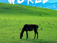 -新疆那拉提国家旅游度假区